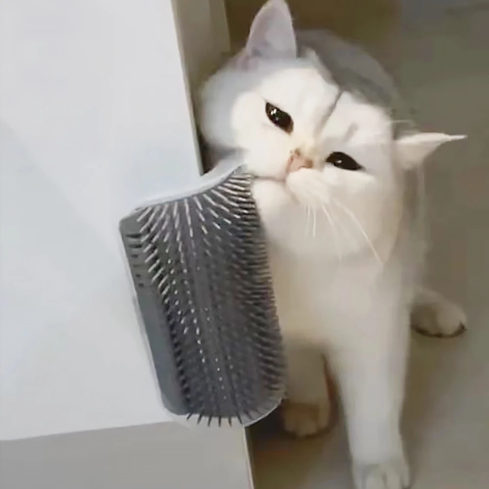 Massager Item for Cats PP Mate - Hair Care Good Hair ulasan dan harga
